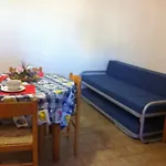 Amanda Trilocali לידו אדריאנו